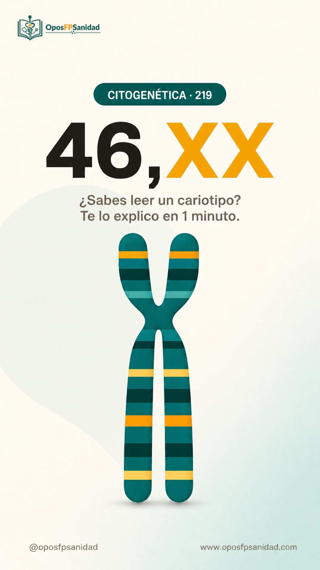 Cómo leer un cariotipo 46,XX (portada)