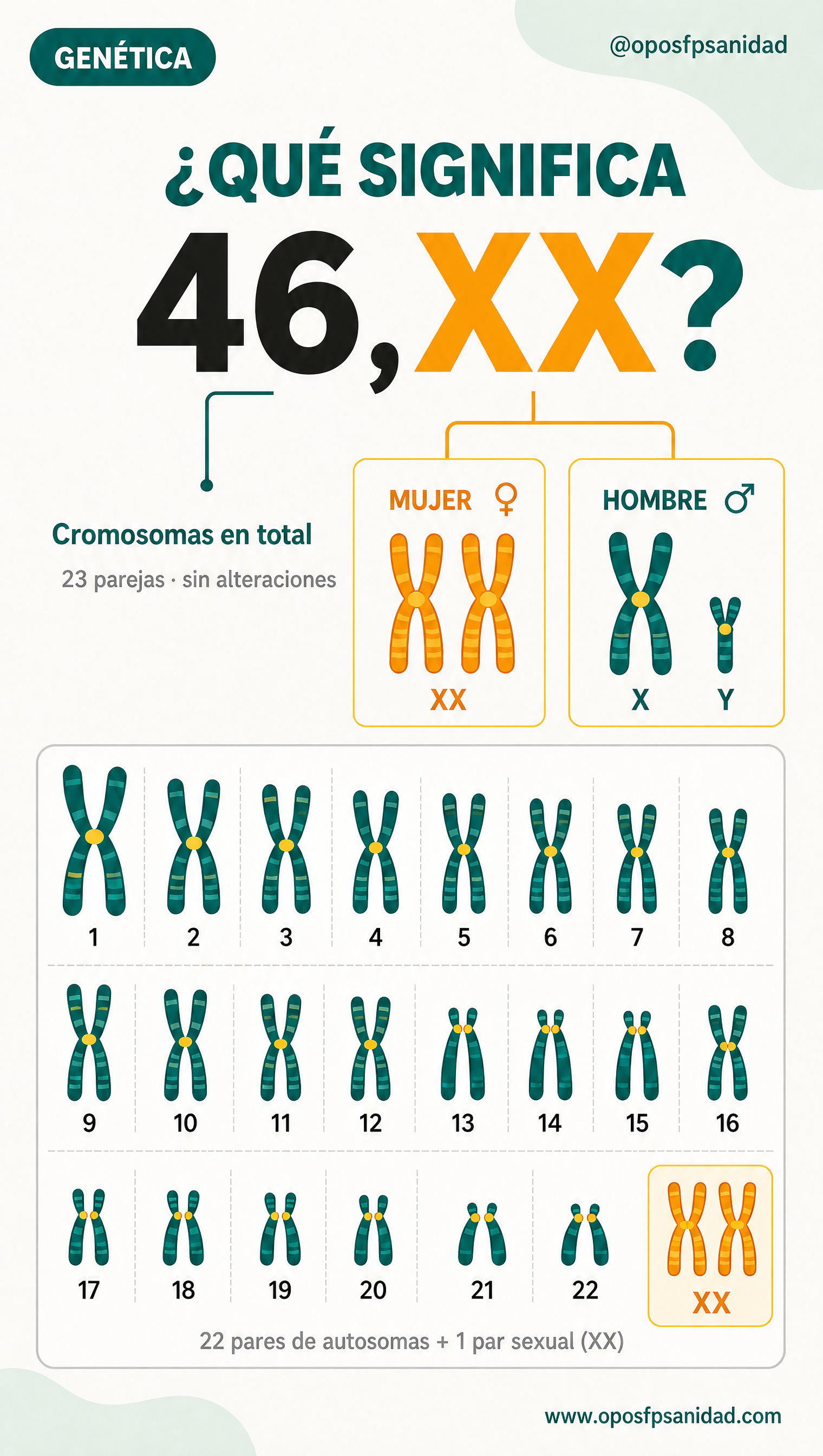 Qué significa la fórmula 46,XX: número de cromosomas y cromosomas sexuales (XX mujer, XY hombre)
